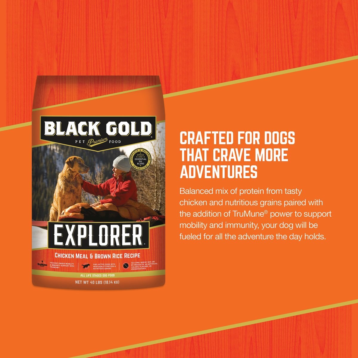 Black Gold Explorer Chicken Meal and Brown Rice Formula Dry Dog Food， 40-lb bag