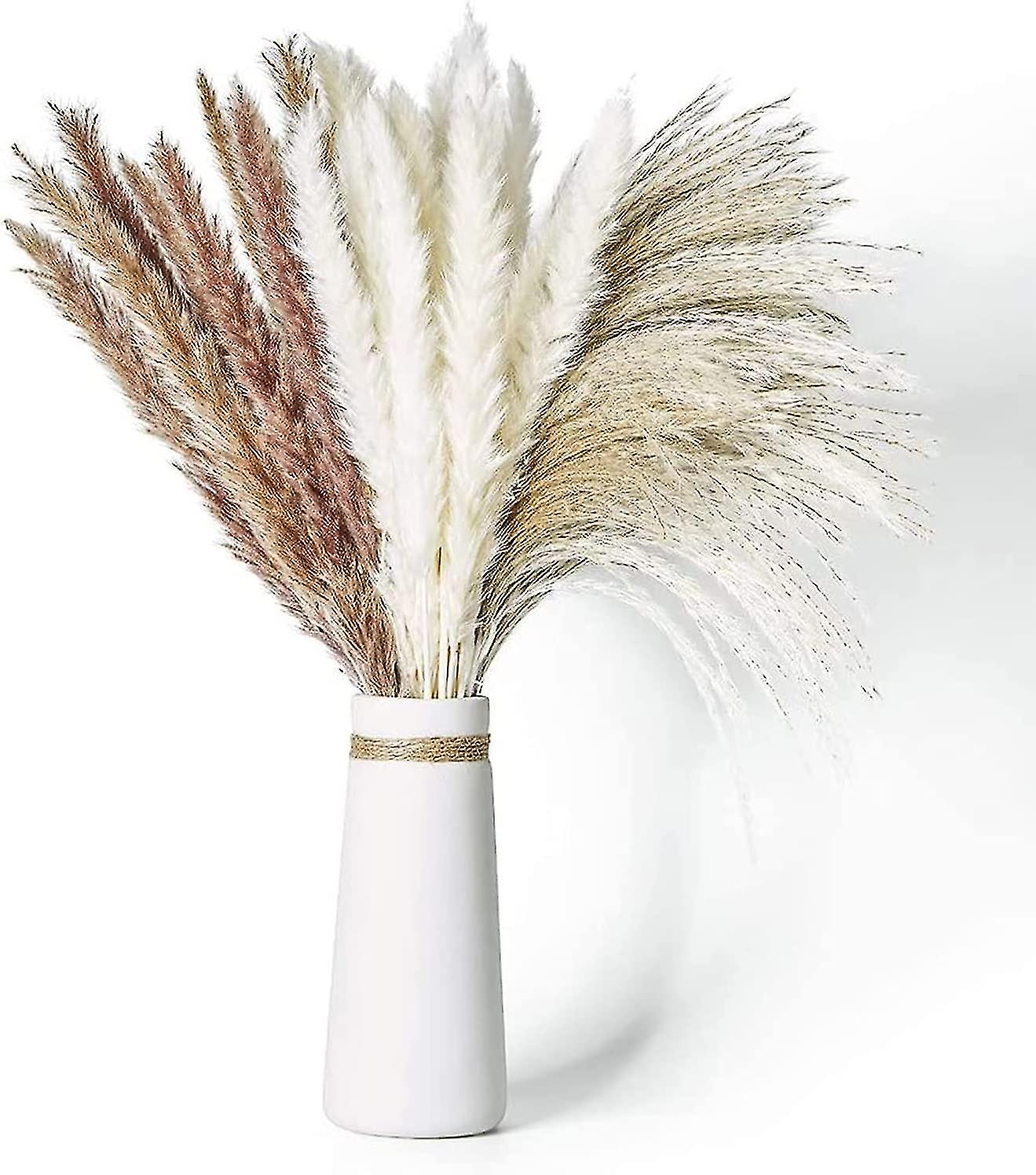 Dried Pampas Grass， 60 Pcs Natural Pampas Grass With 3 Colors