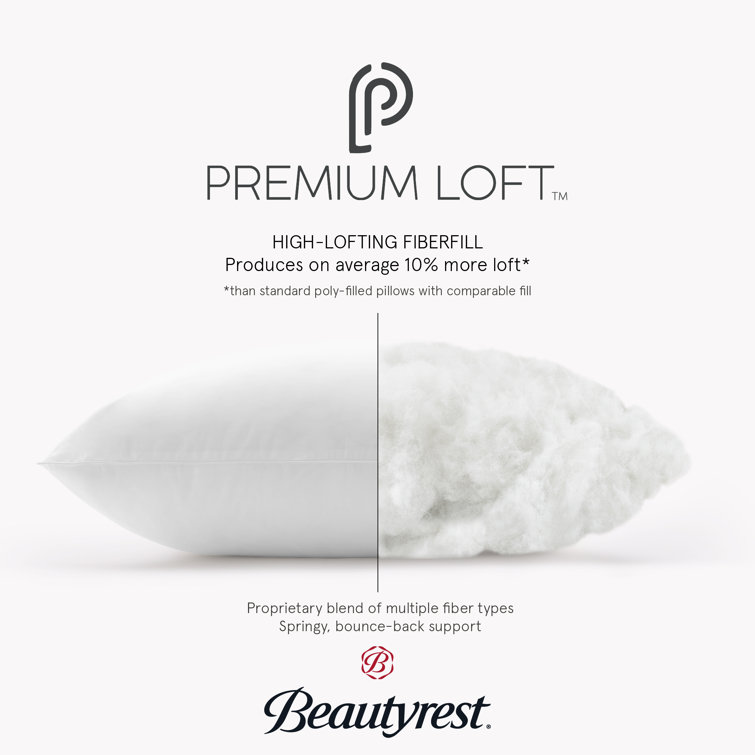 Beautyrest Certified Asthma & Allergy Friendly Pillow Set Of 2