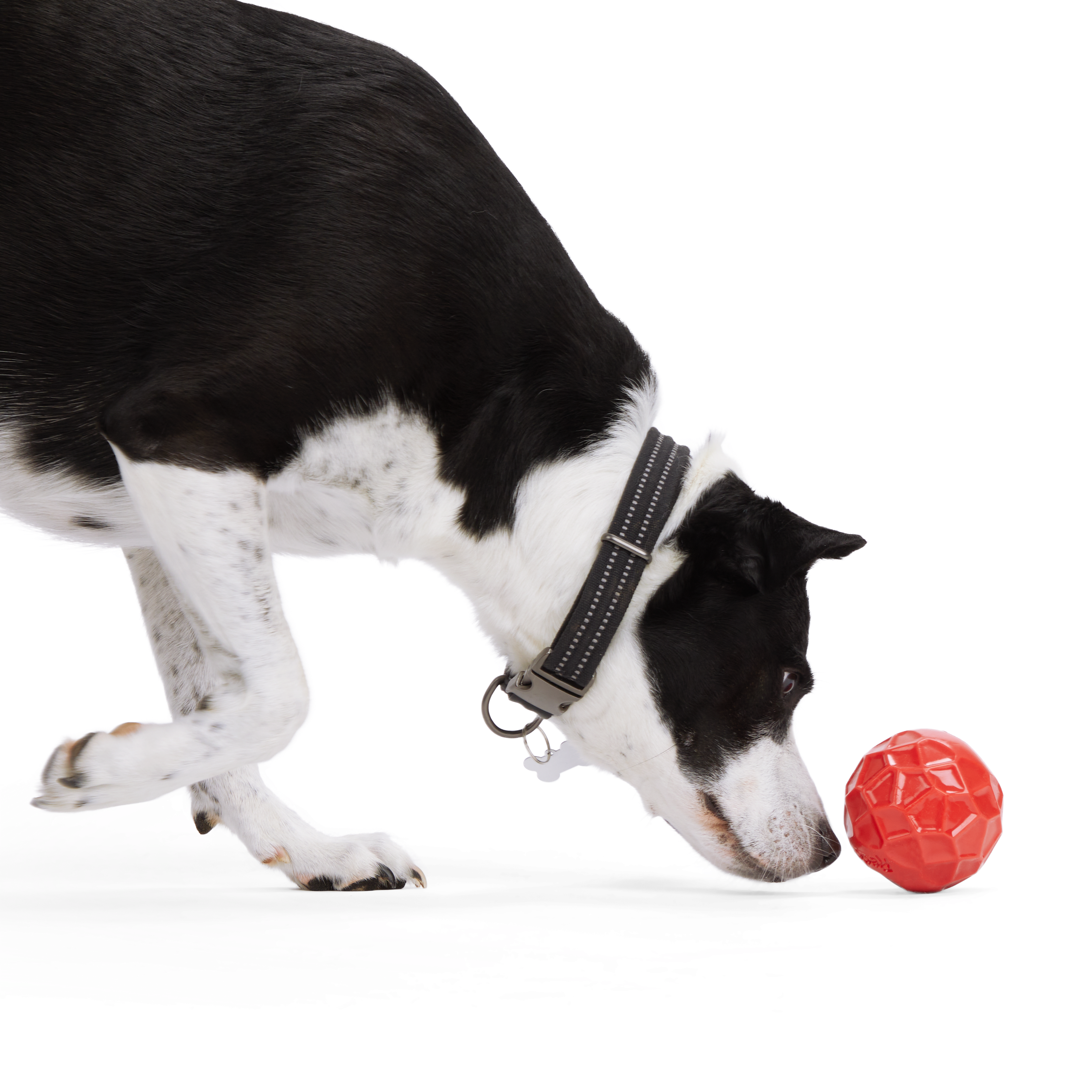 Reddy Cherry Geo Ball Dog Toy， Large