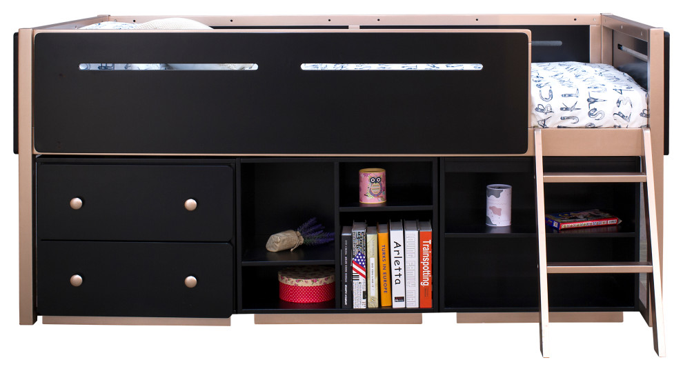 Prescott Cabinet  2 Drawers  Black and Rose Gold   Contemporary   Accent Chests And Cabinets   by Acme Furniture  Houzz