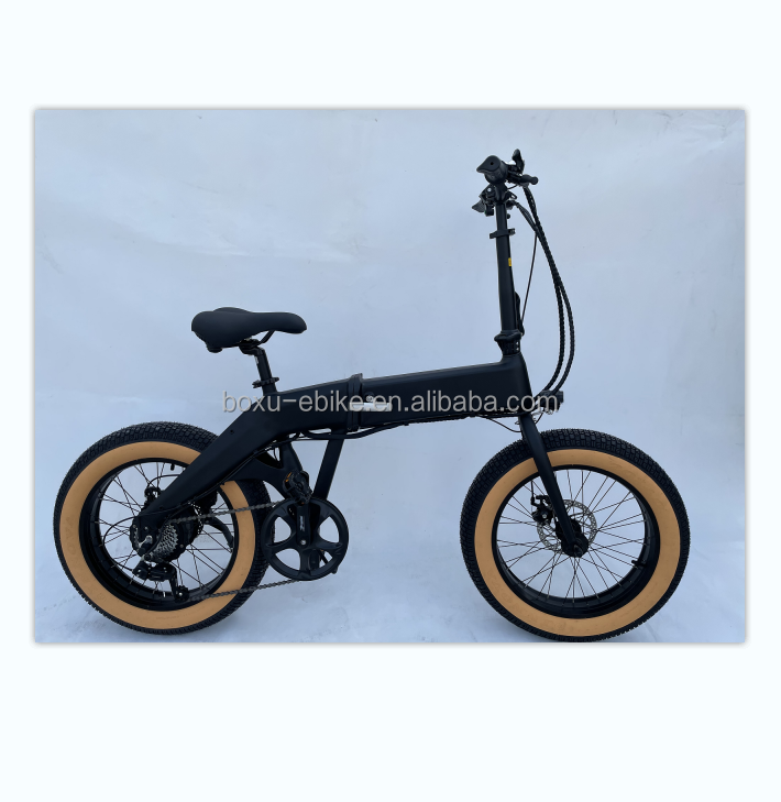 Ridstar Winner Folding Electric Bike Fat Tire Ebike Mountain Bike New Electric Bicycle Cycling US Spot 1000W 500w