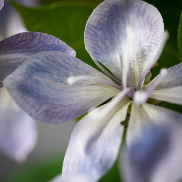 Sullivans 41 Artificial Blossom Stem