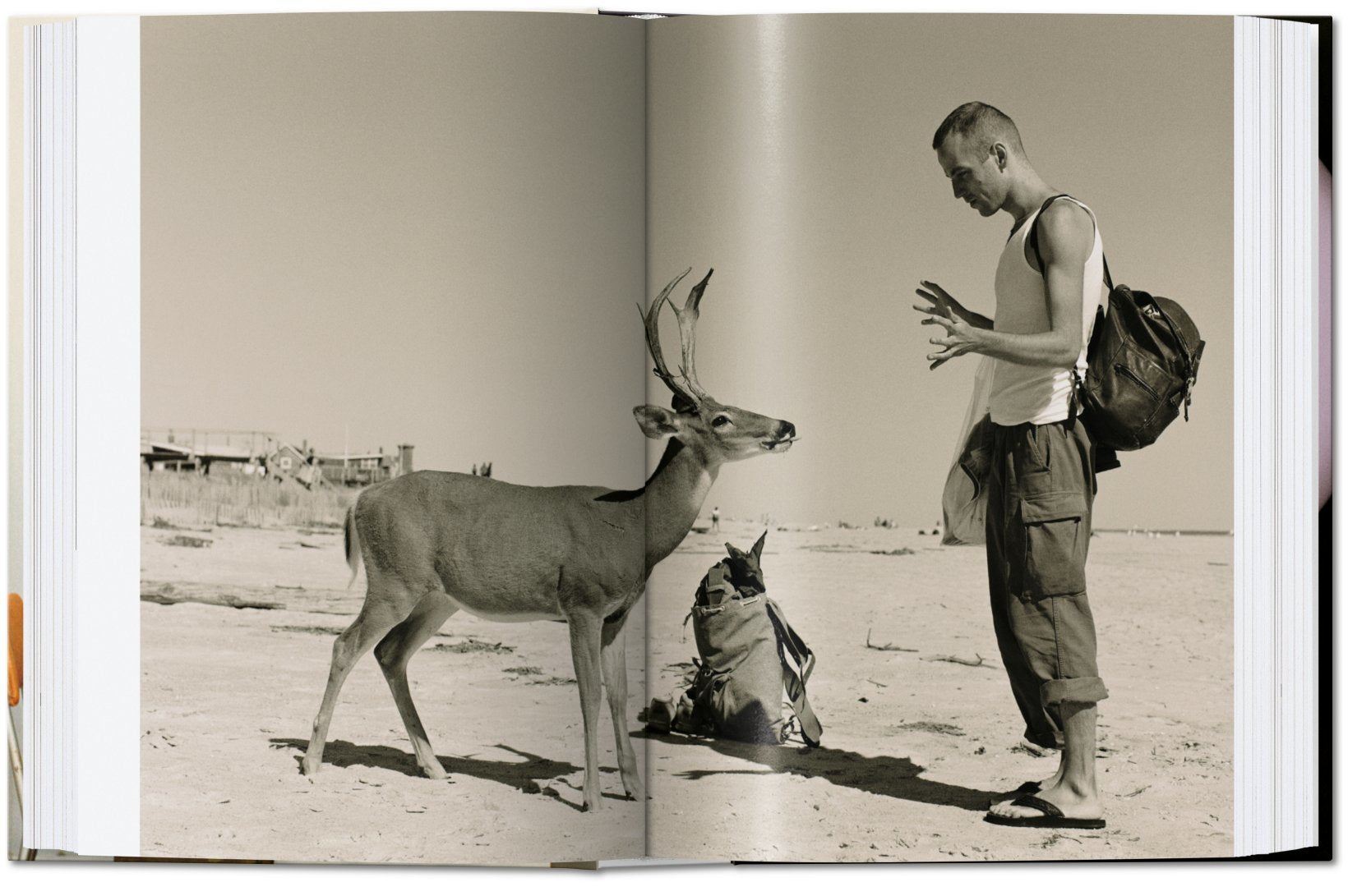 Wolfgang Tillmans four books 40th Anniversary Edition