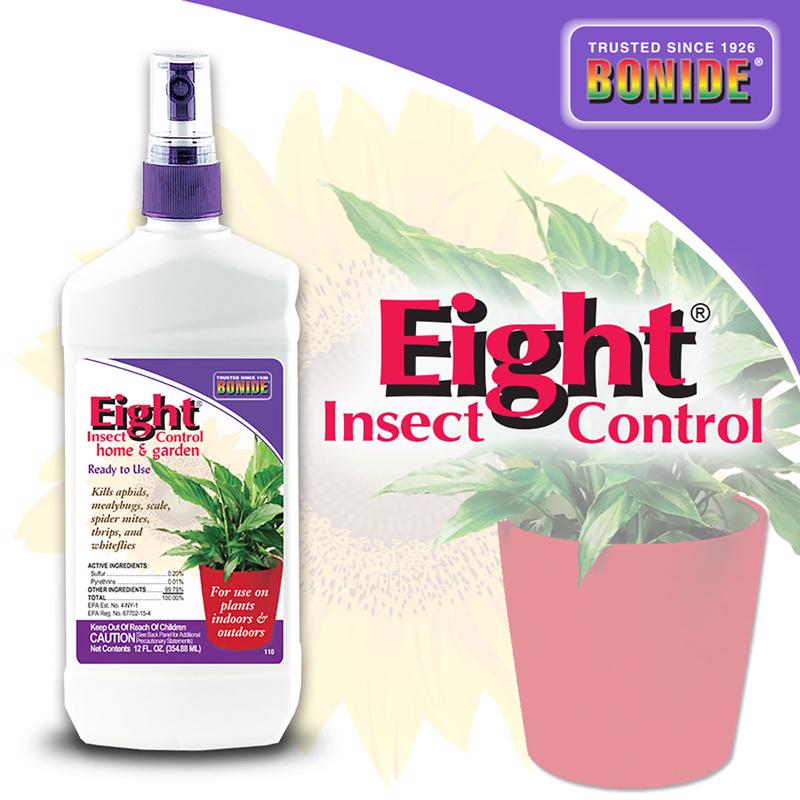 EIGHT INSECT CONTRL 12OZ