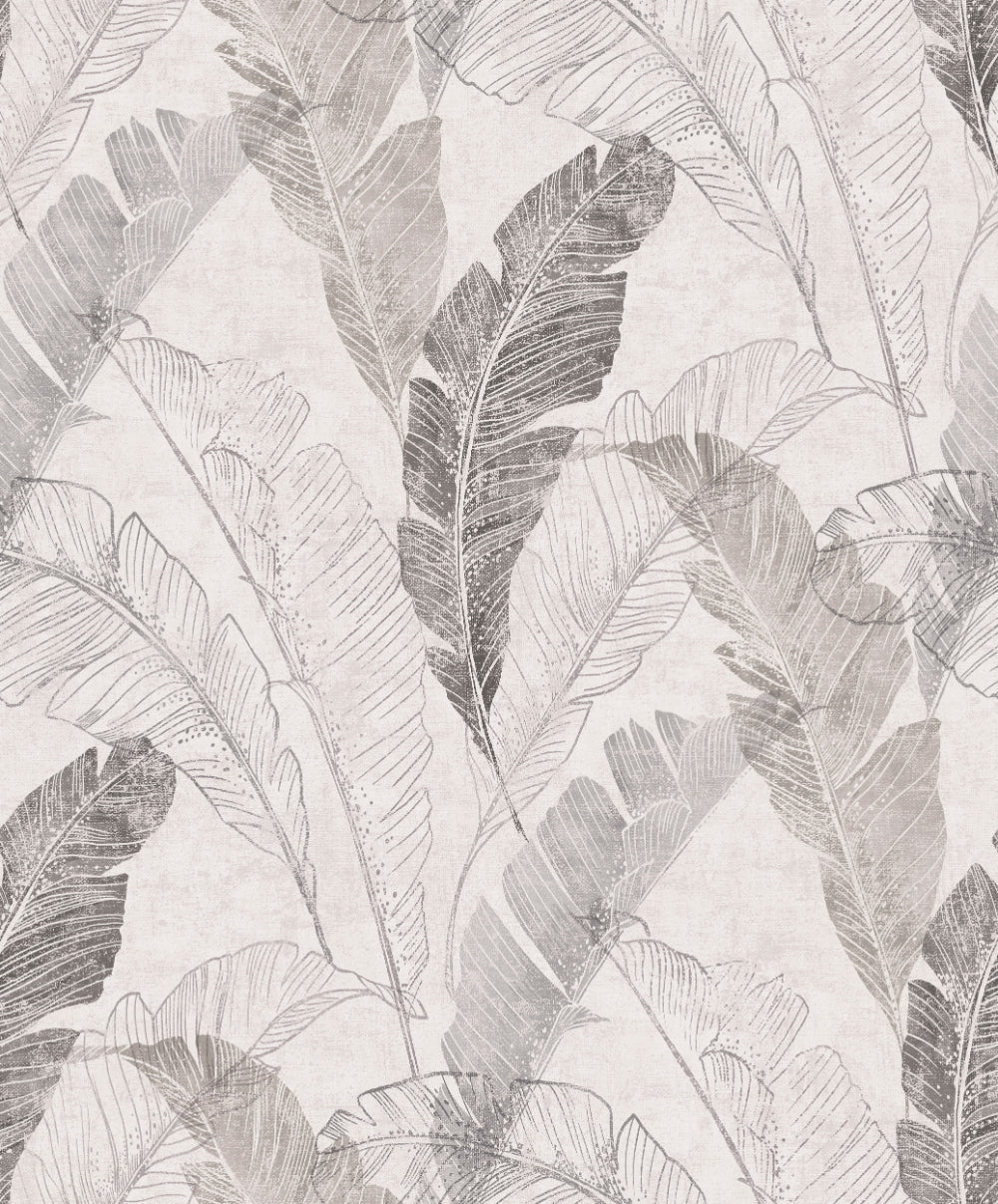 Grey Illustrated Feathers Wallpaper