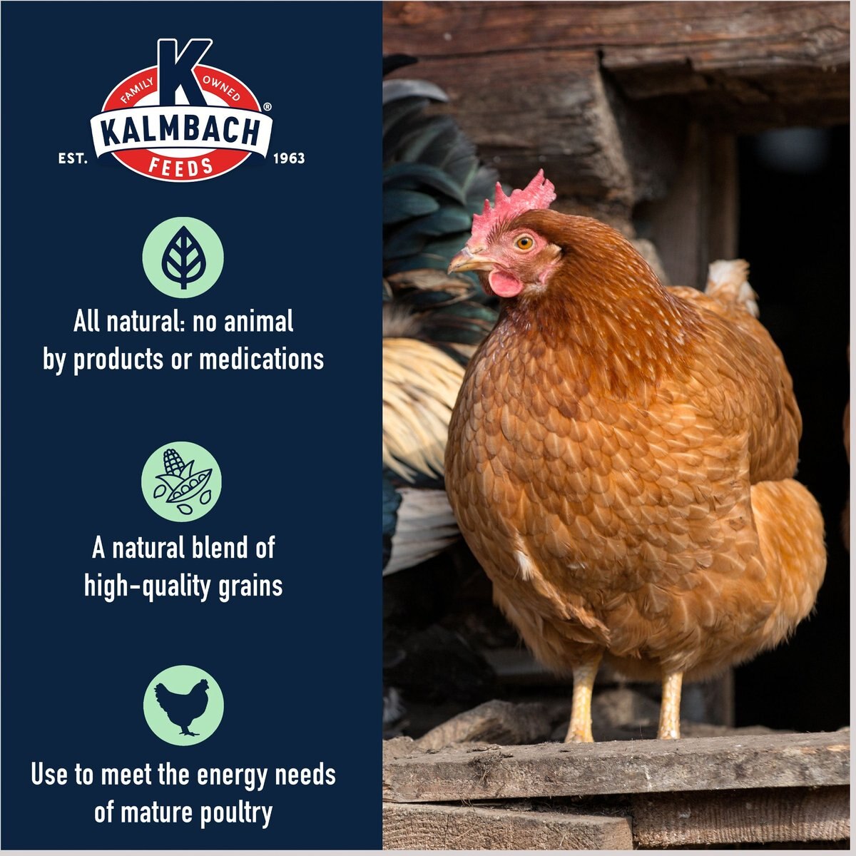 Kalmbach Feeds All Natural 5-Grain Premium Scratch Chicken Feed