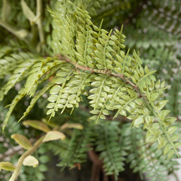 Sullivans Artificial Fern In Ball