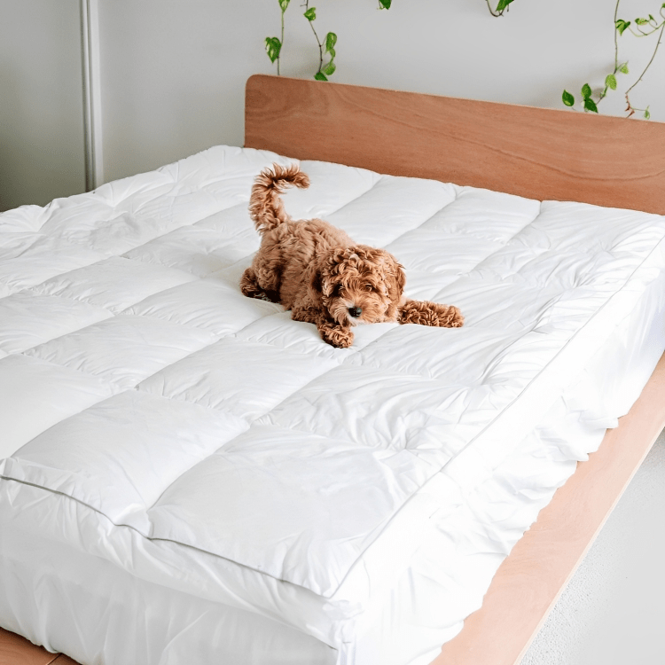 Gear Guds Bamboo Mattress Topper