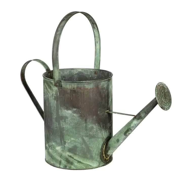 Luxury Verdigris Metal Watering Can fancy design for outdoor and indoor plants flowers watering can Home Garden bulk quantity