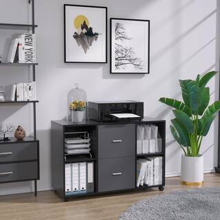 Wateday Black-Dark Gray File Cabinet with 2-Drawers And 4 Open Storage YJ-YUKI9596607