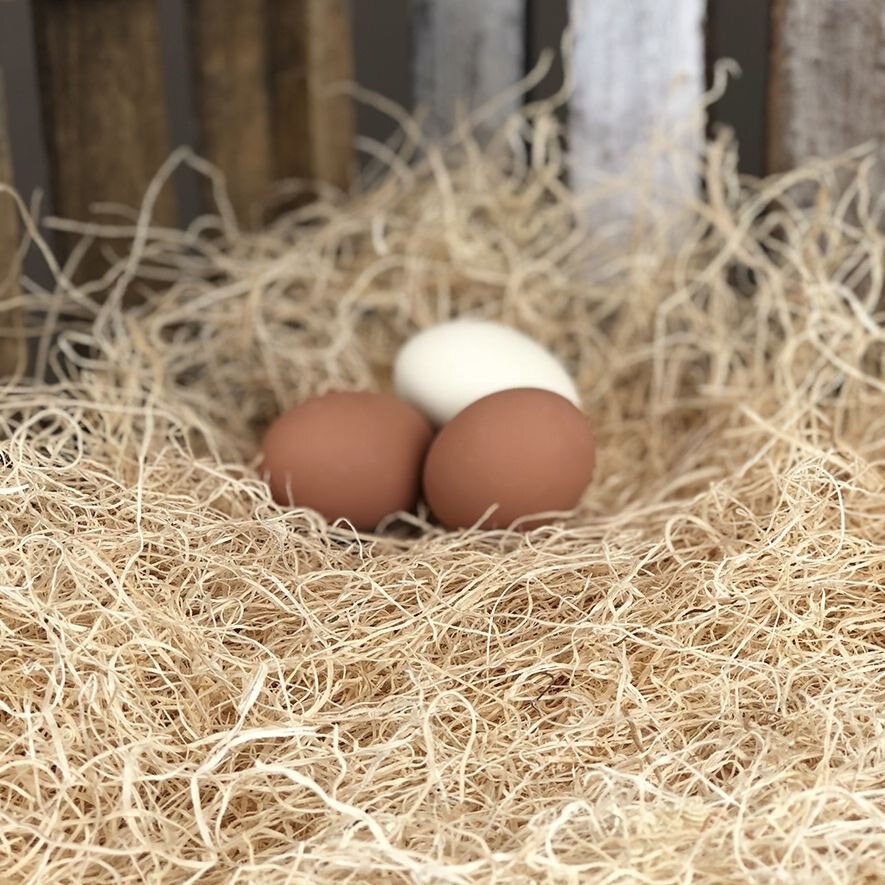 Happy Hen Treats Excelsior Nest Box Bedding Chicken Nesting Pads