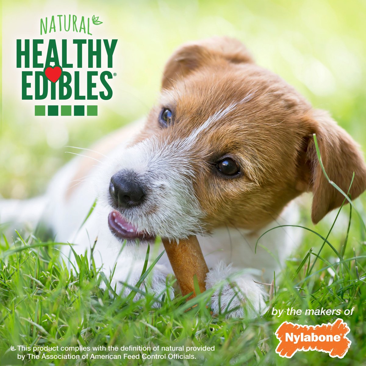 Nylabone Healthy Edibles All-Natural Long Lasting Bacon Flavor Chews Dog Treats， Small/Regular