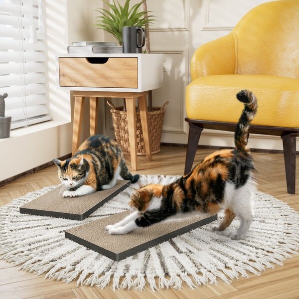 Way Basics Eco zBoard Premium Cat Scratcher， 2 count