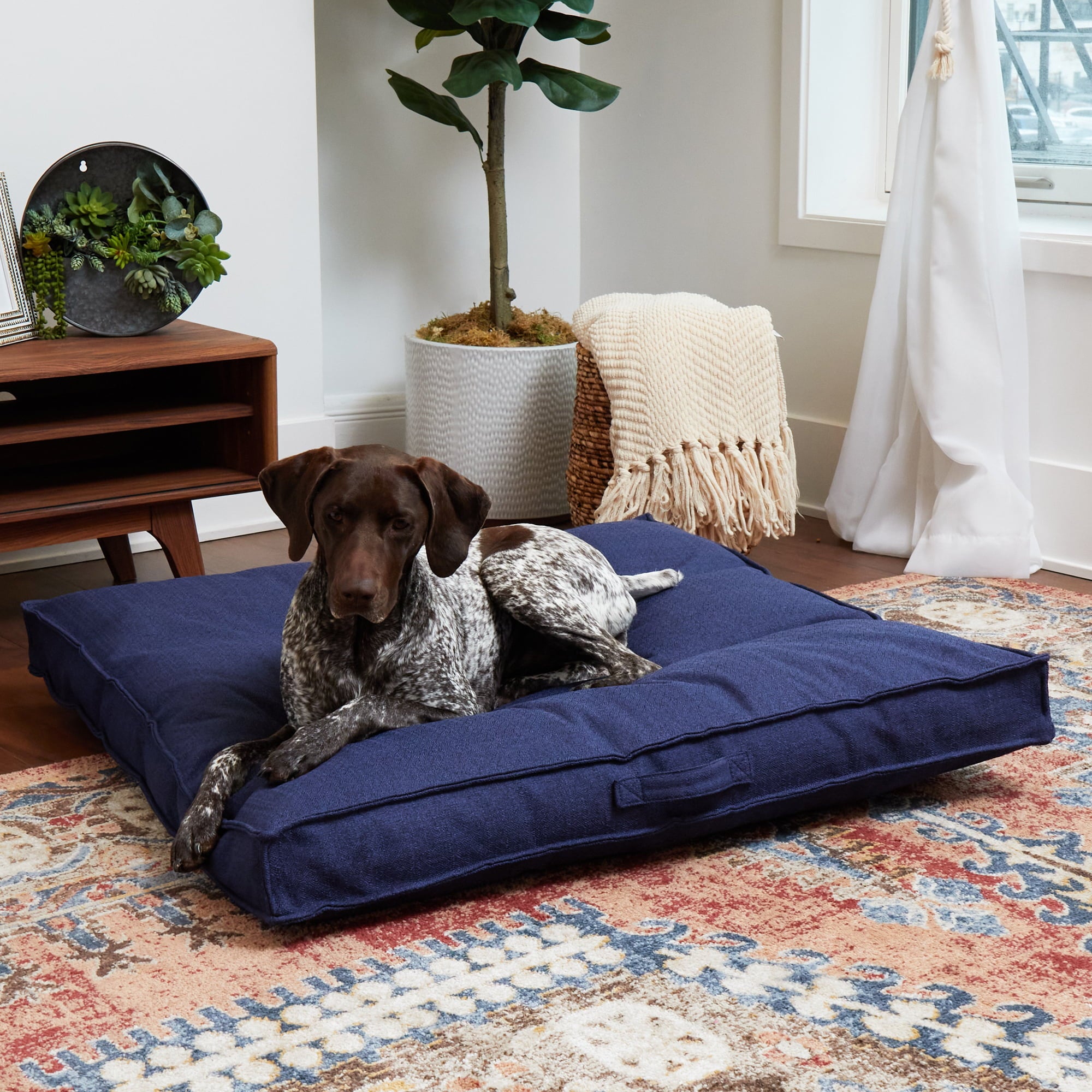 Happy Hounds Milo Square Tufted Dog Bed， Cobalt， Large (40 x 40 in.)