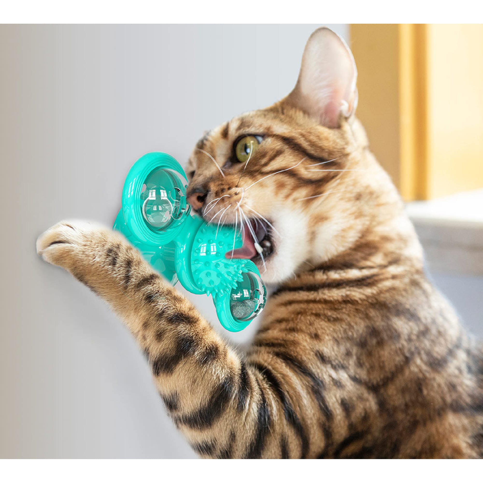 Pet Life Blue 'Windmill' Rotating Suction Cup Spinning Cat Toy