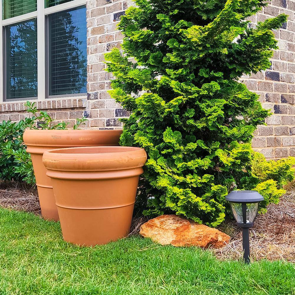 Pennington 18.5 in. Large Heavy Rimmed Terra Cotta Clay Pot 100043002