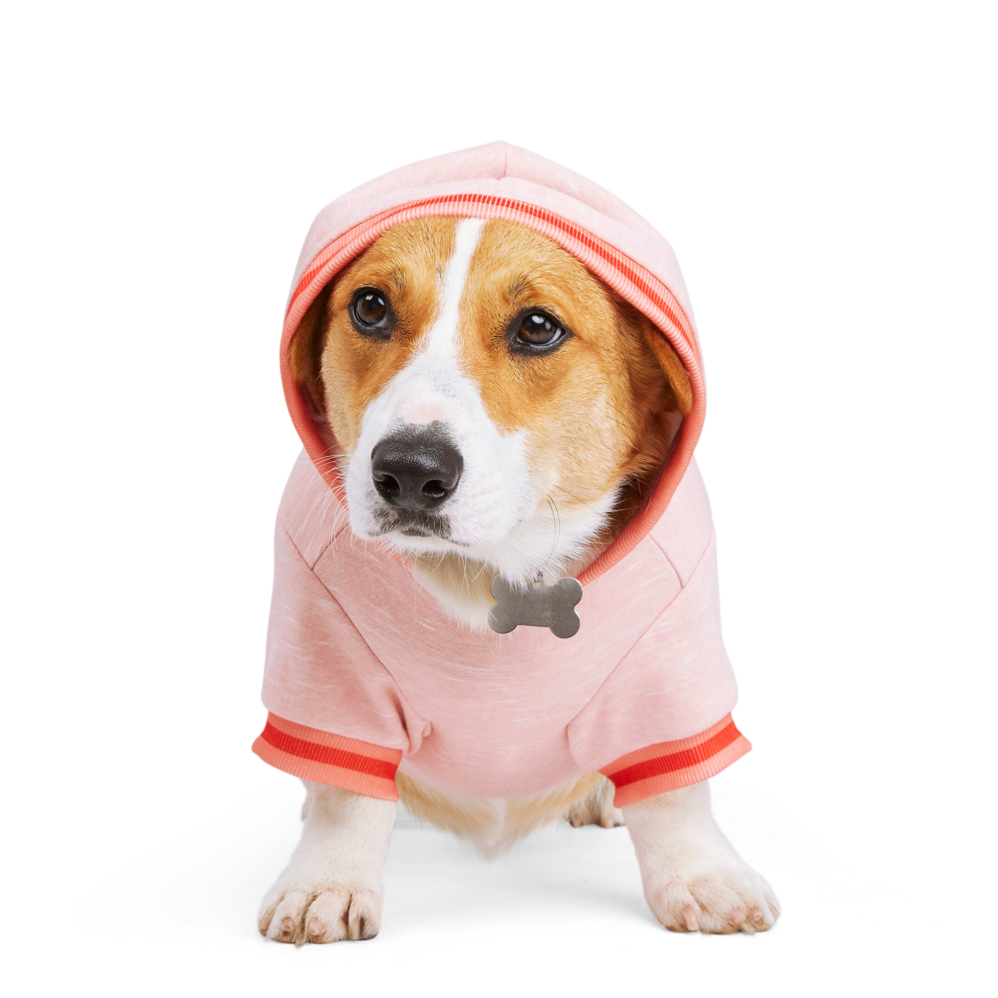 YOULY Pink Spacedye Hoodie for Dogs， X-Small