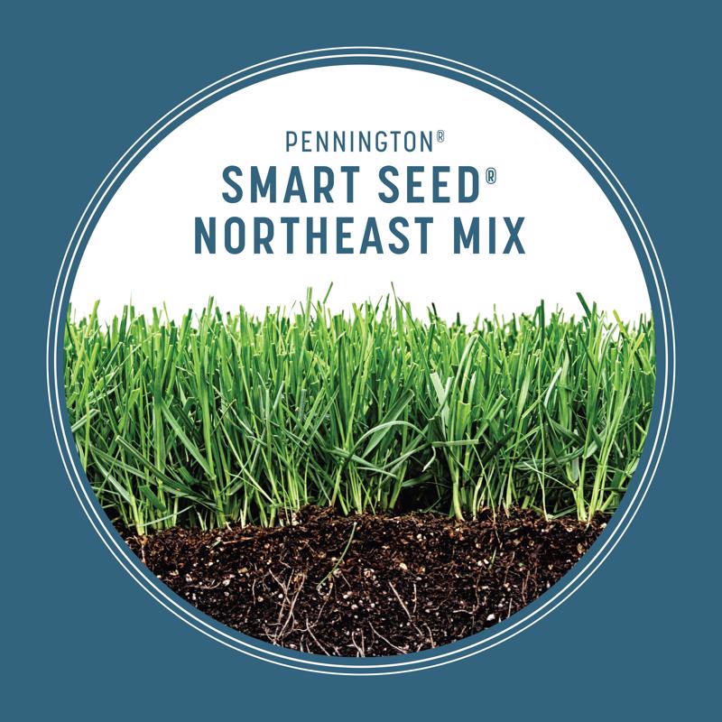 GRASS SEED NE MIX 3#