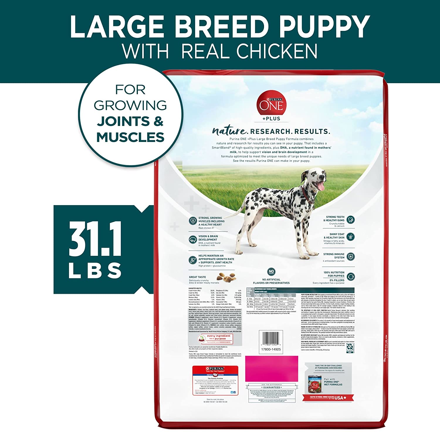 Purina ONE Natural， High Protein， Large Breed Dry Puppy Food， +Plus Large Breed Formula - 31.1 lb. Bag