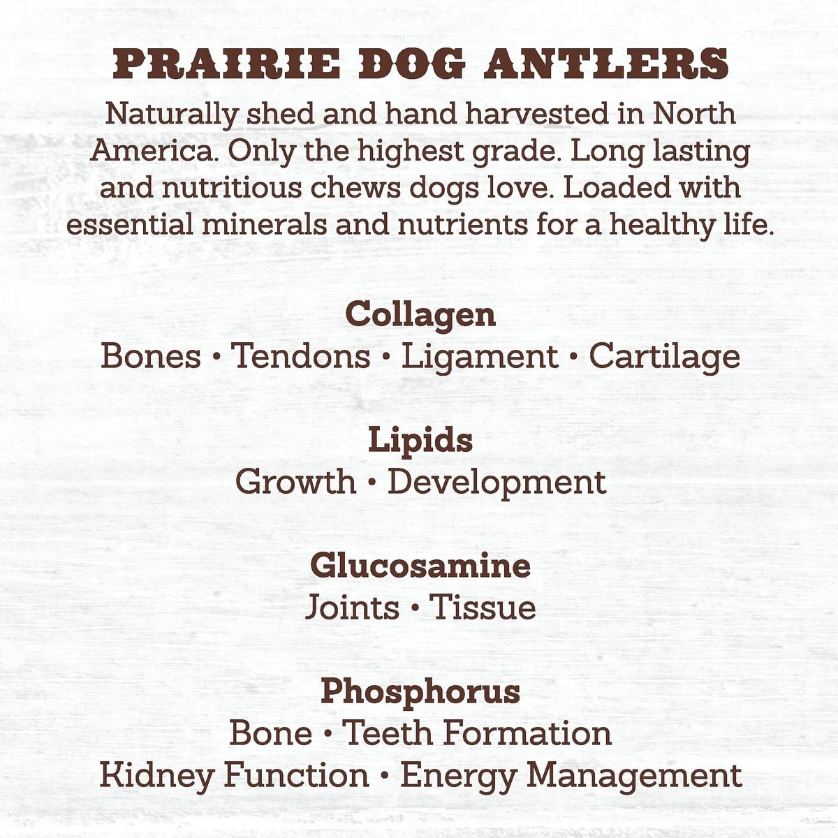 Prairie Dog Whole Deer Antler Dog Chews， 8 - 9.5 in