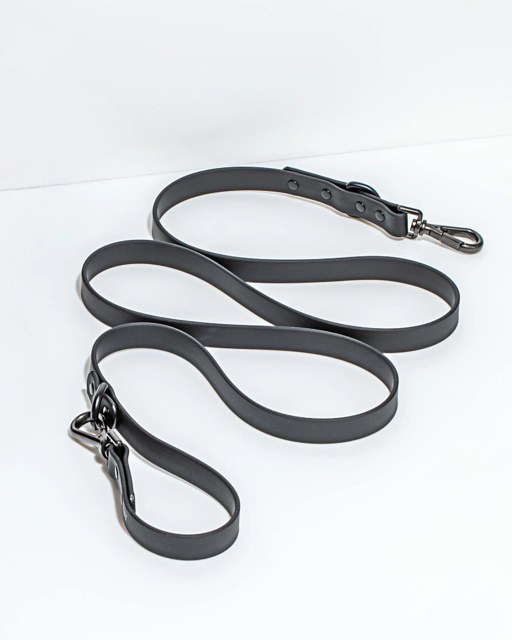 Wild One Leash