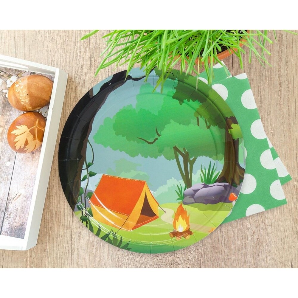 80 Pack Disposable Paper Plates  Camping Party Supplies for Dinner  9\