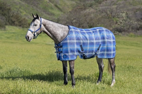 Kensington Protective Products Protective Sheet SureFit Horse Sheet