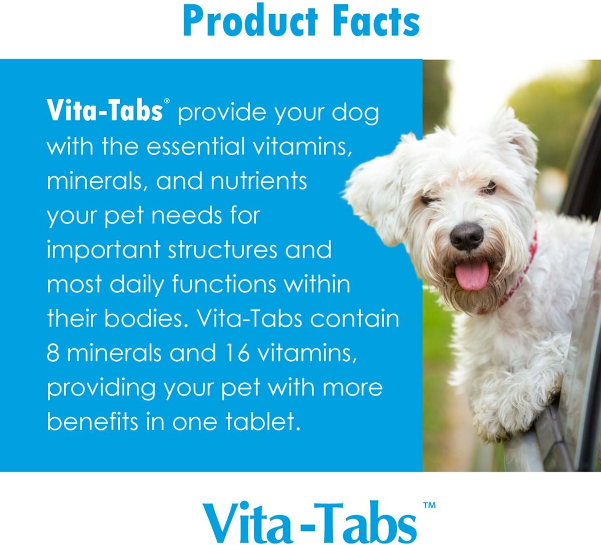 Vita-Tabs Liver Flavored Multivitamin for Dogs