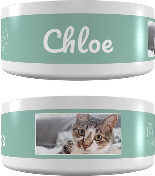 Frisco Playful Kitty Ceramic Personalized Cat Bowl， 1-cup， 8oz