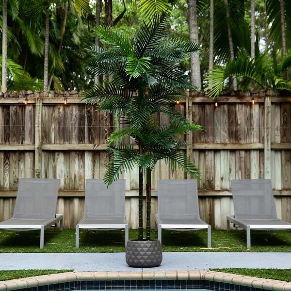 8' UV Resistant Double Robellini Palm Tree (Indoor/Outdoor)