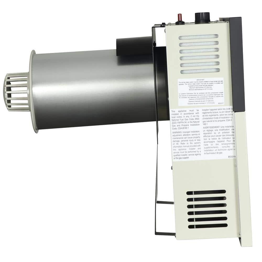 Ashley Hearth Products 17000 BTU Direct Vent Natural Gas Heater