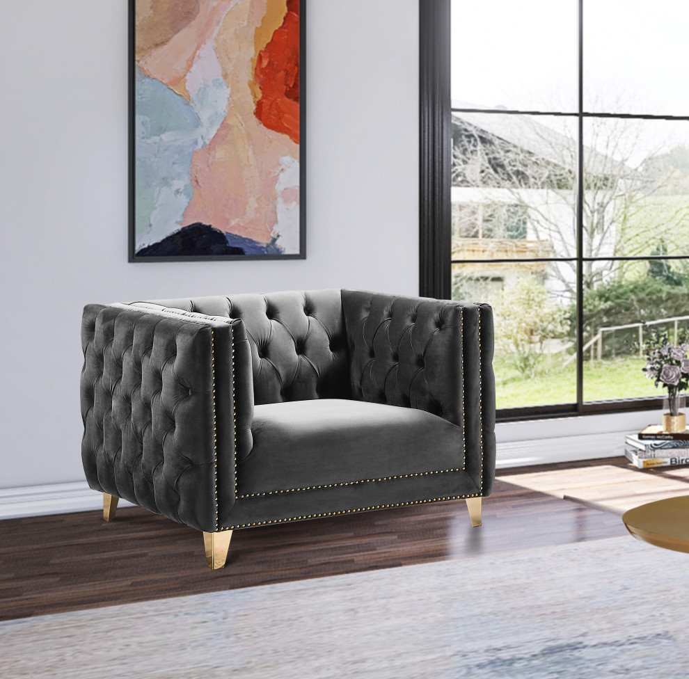 Michelle Fabric Upholstered Chair  Gold Iron Legs   Contemporary   Armchairs And Accent Chairs   by Meridian Furniture  Houzz