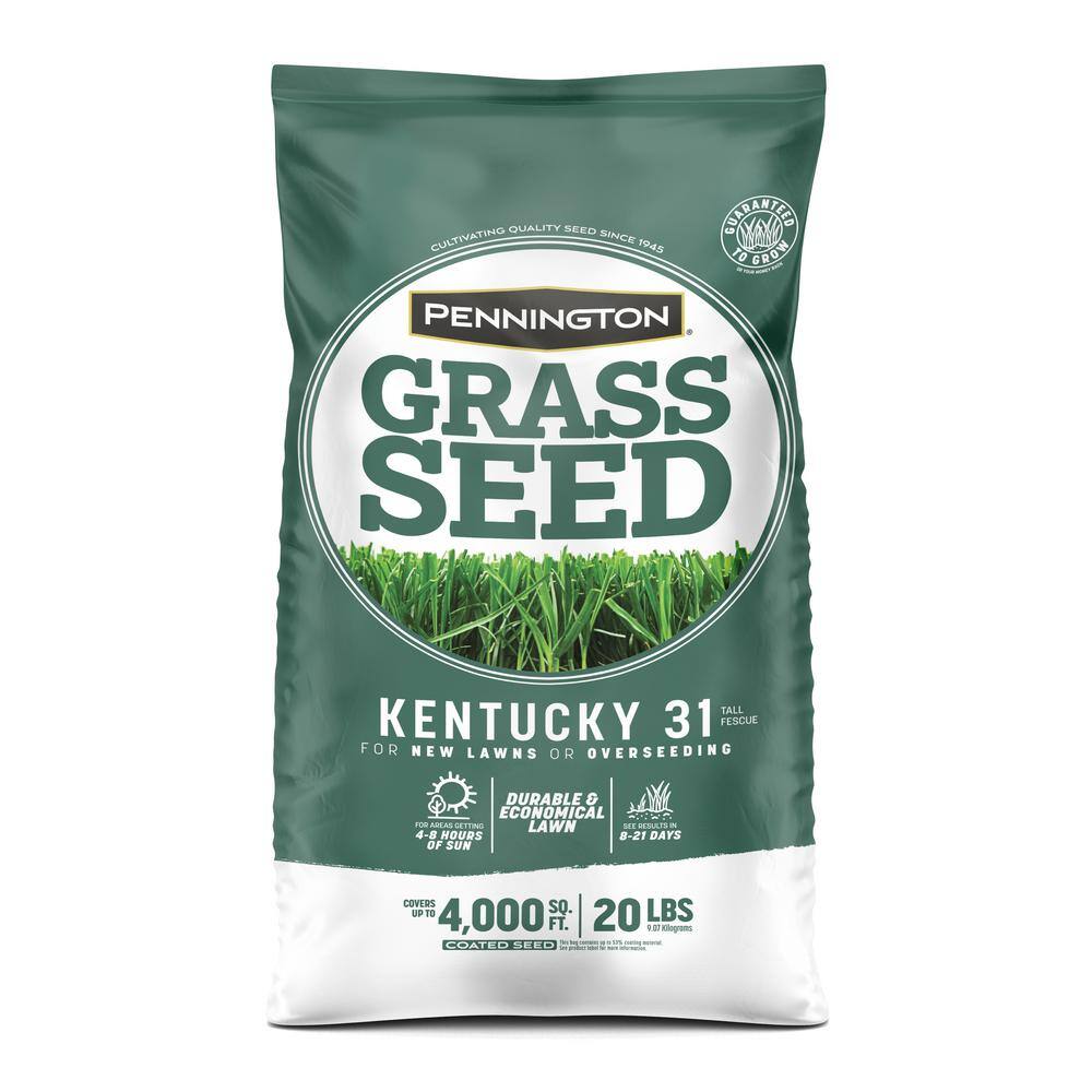 Pennington 20 lbs. KY 31 Fescue Grass Seed 100543701