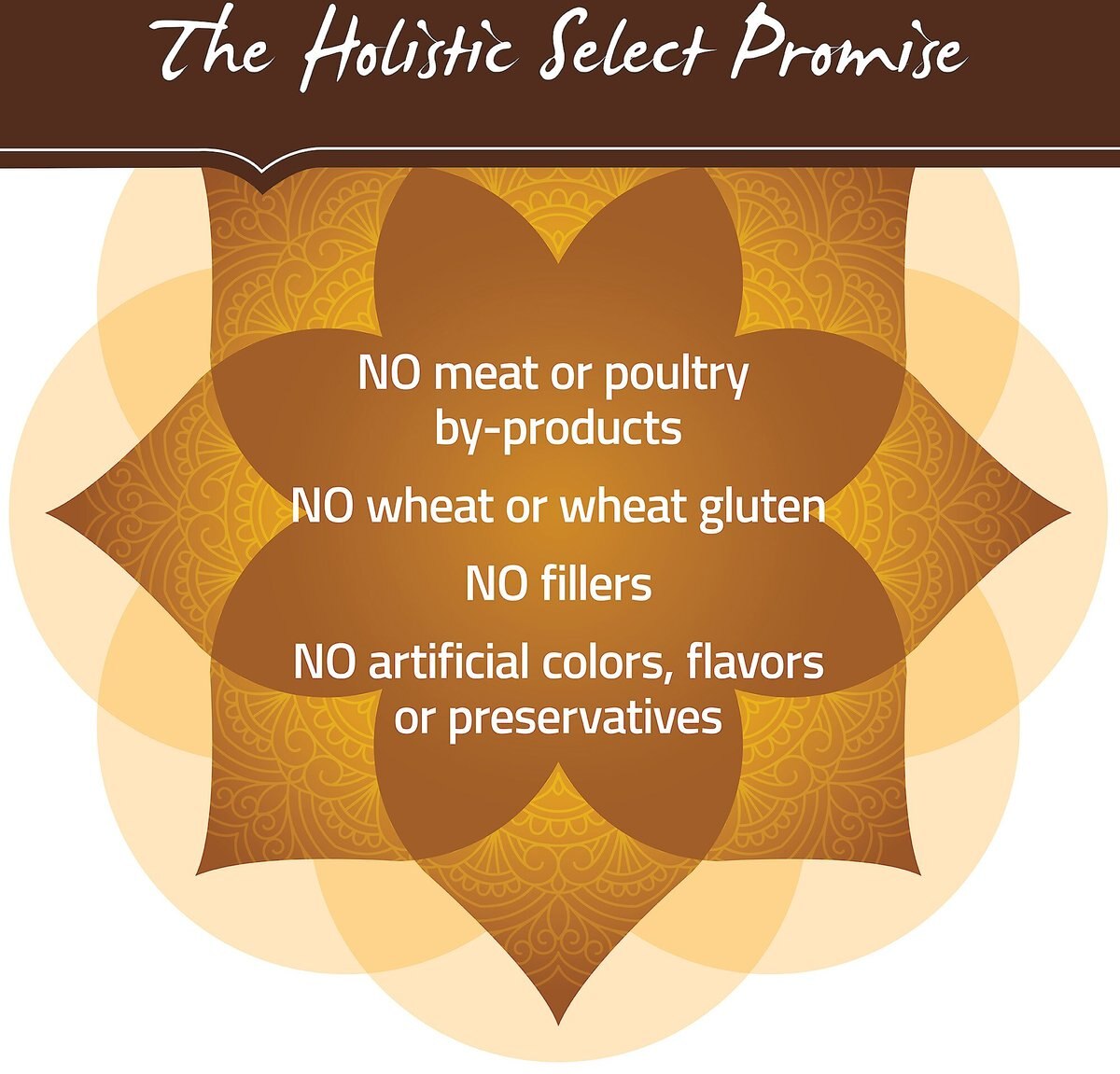 Holistic Select Adult Health Duck Meal Recipe Grain-Free Dry Dog Food