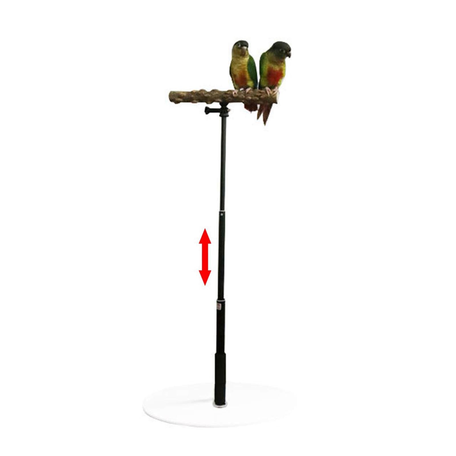 Parrot Training Playing with Base Cage Bird Perch Standing for Finch