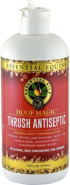 Equus Magnificus Essential Equine Hoof Magic Thrush Antiseptic Horse Thrush Treatment Spray， 16-oz bottle