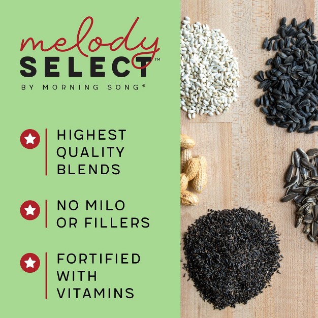 Melody Select 4 5lb Nut Fruit amp Berry Bird Food