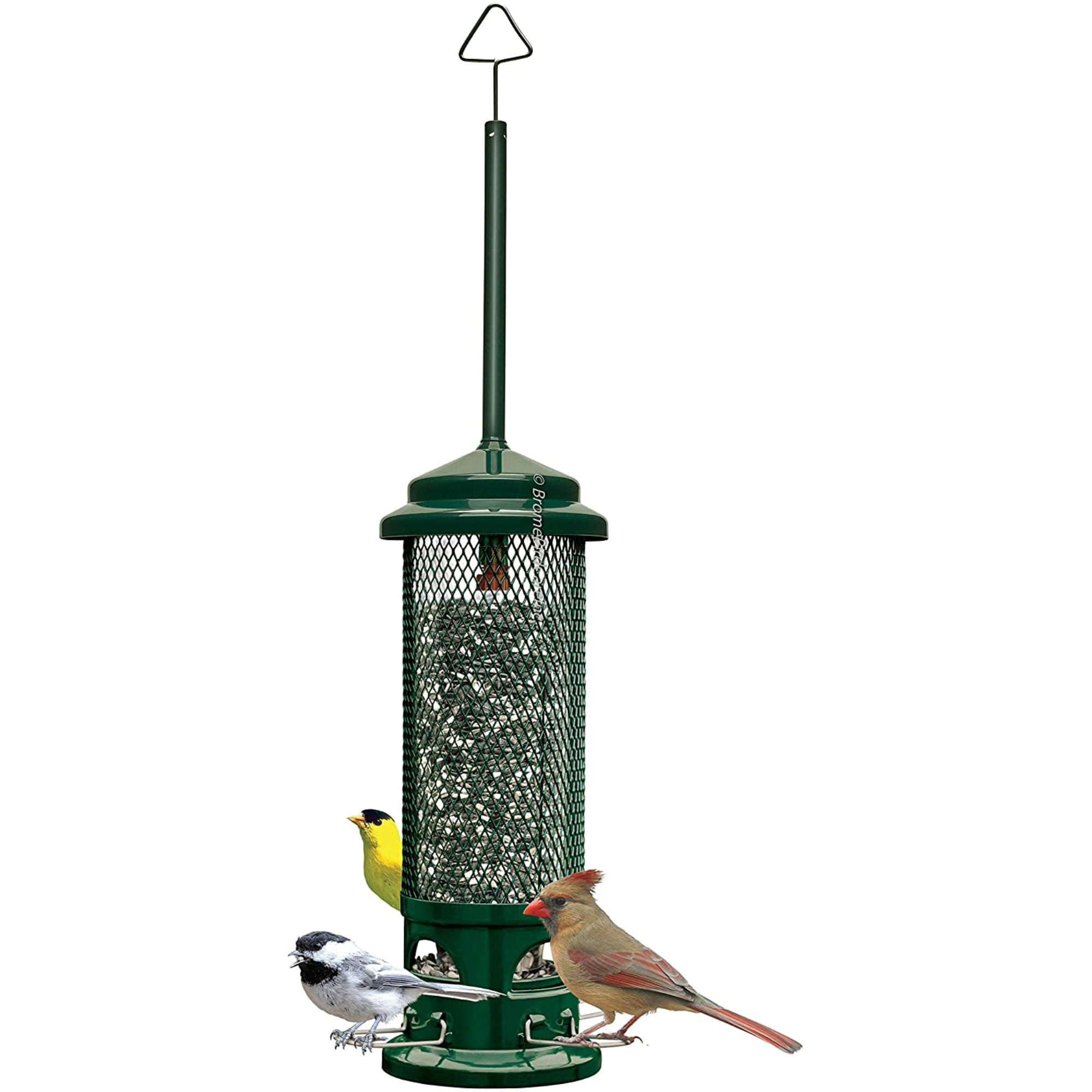 Squirrel Buster Legacy Squirrel-proof Bird Feeder w/4 Metal Perches， 2.6-pound Seed Capacity