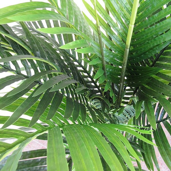 5.5ft Deluxe Real Touch Artificial Areca Palm Tree Tropical Plant in Black Pot