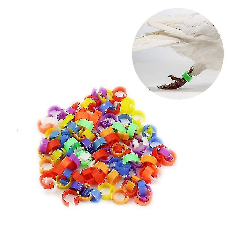 10pcs Birds Foot Rings Pigeons Identification Opening Foot Ring Colorful Plastic 8mm Foot Clip Chicken Leg Band