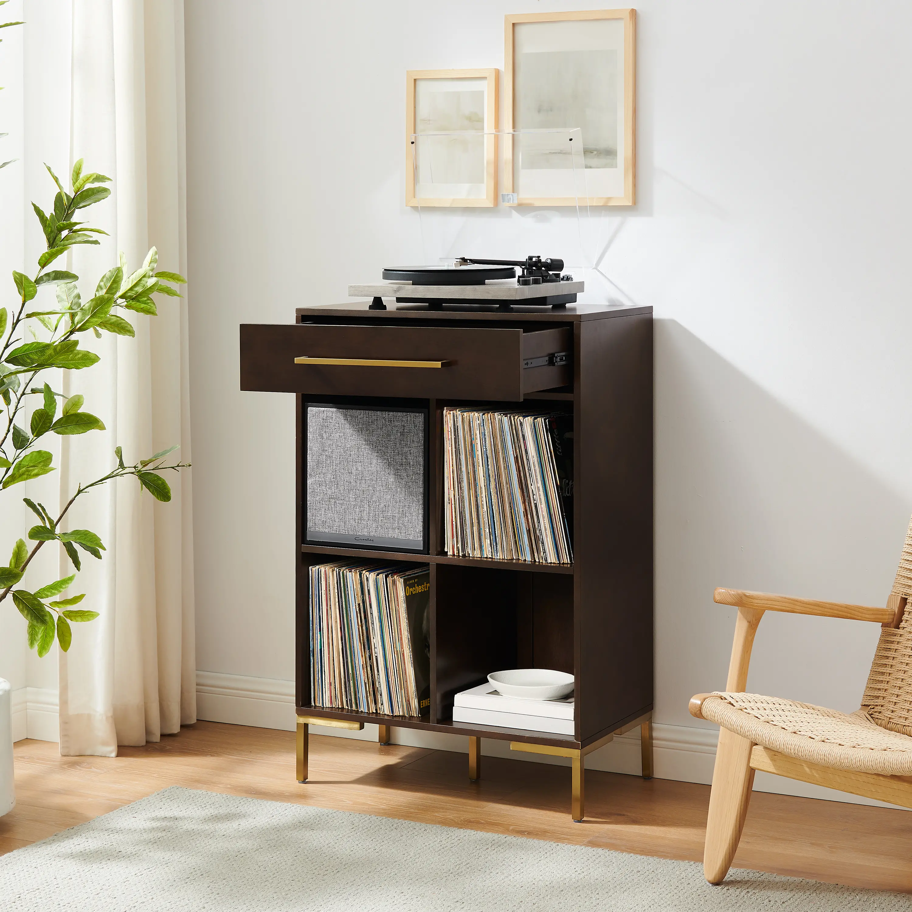 Juno Brown Storage Cube Bookcase with Speaker