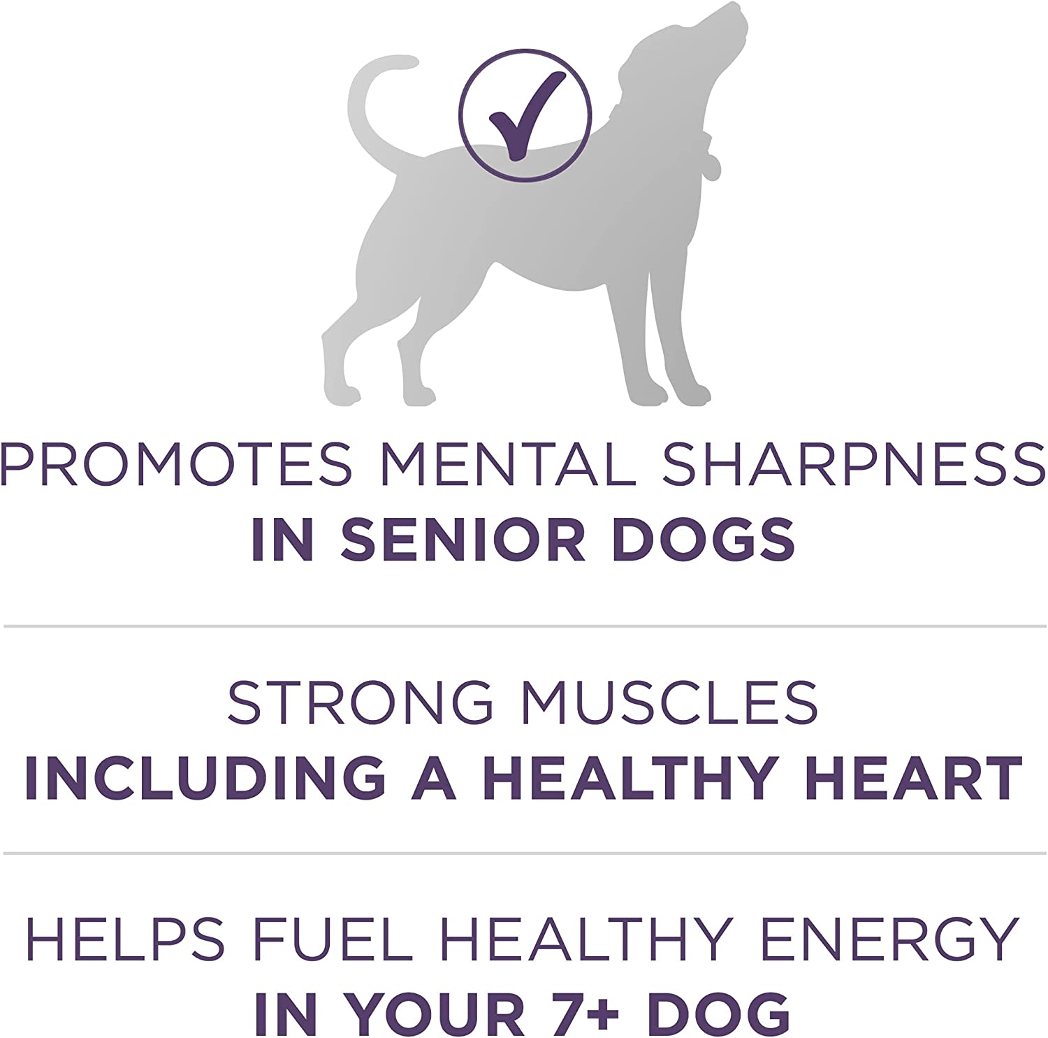 Purina ONE High Protein Senior Dry Dog Food， +Plus Vibrant Maturity Adult 7+ Formula - 31.1 lb. Bag