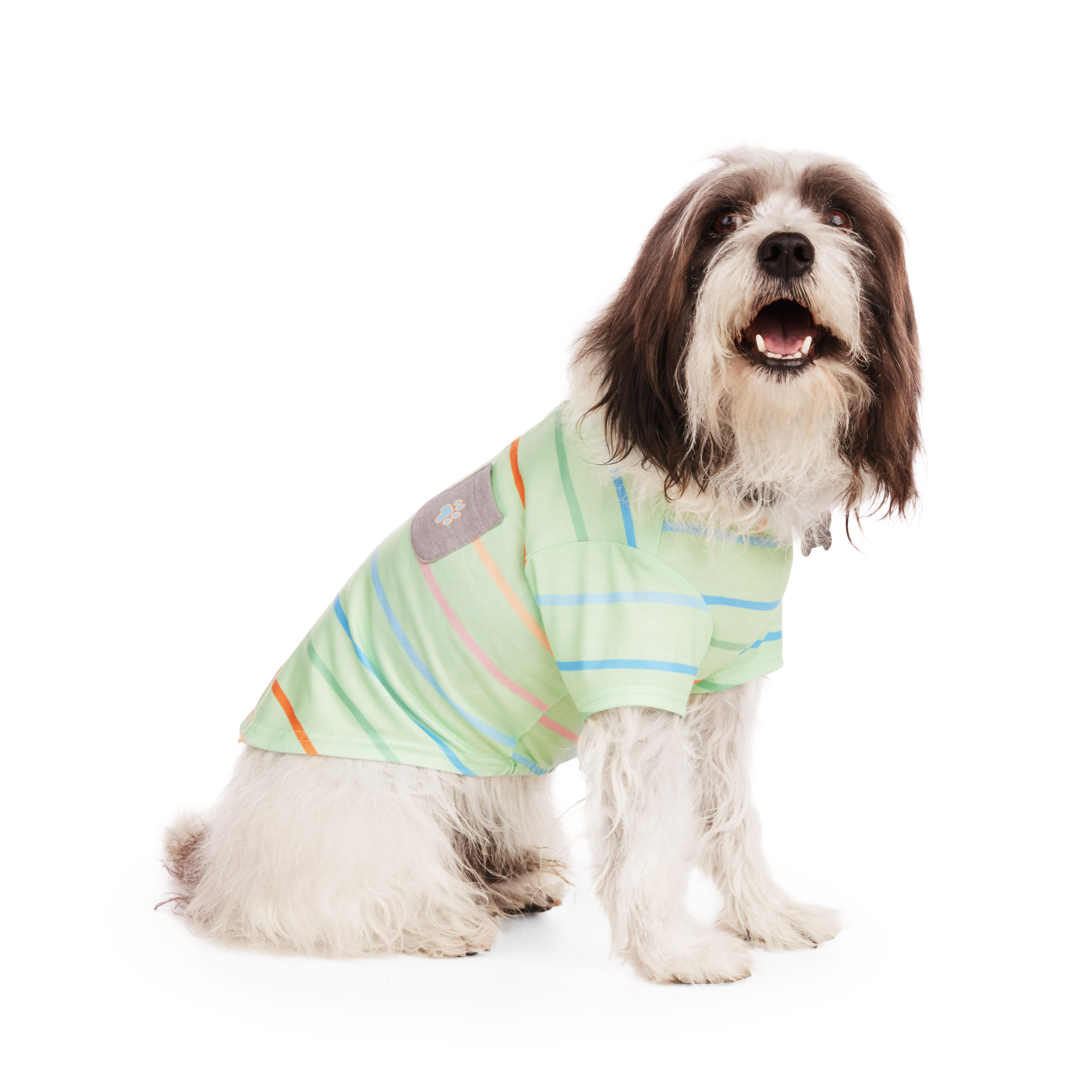 YOULY Green Striped Dog Tee， X-Small