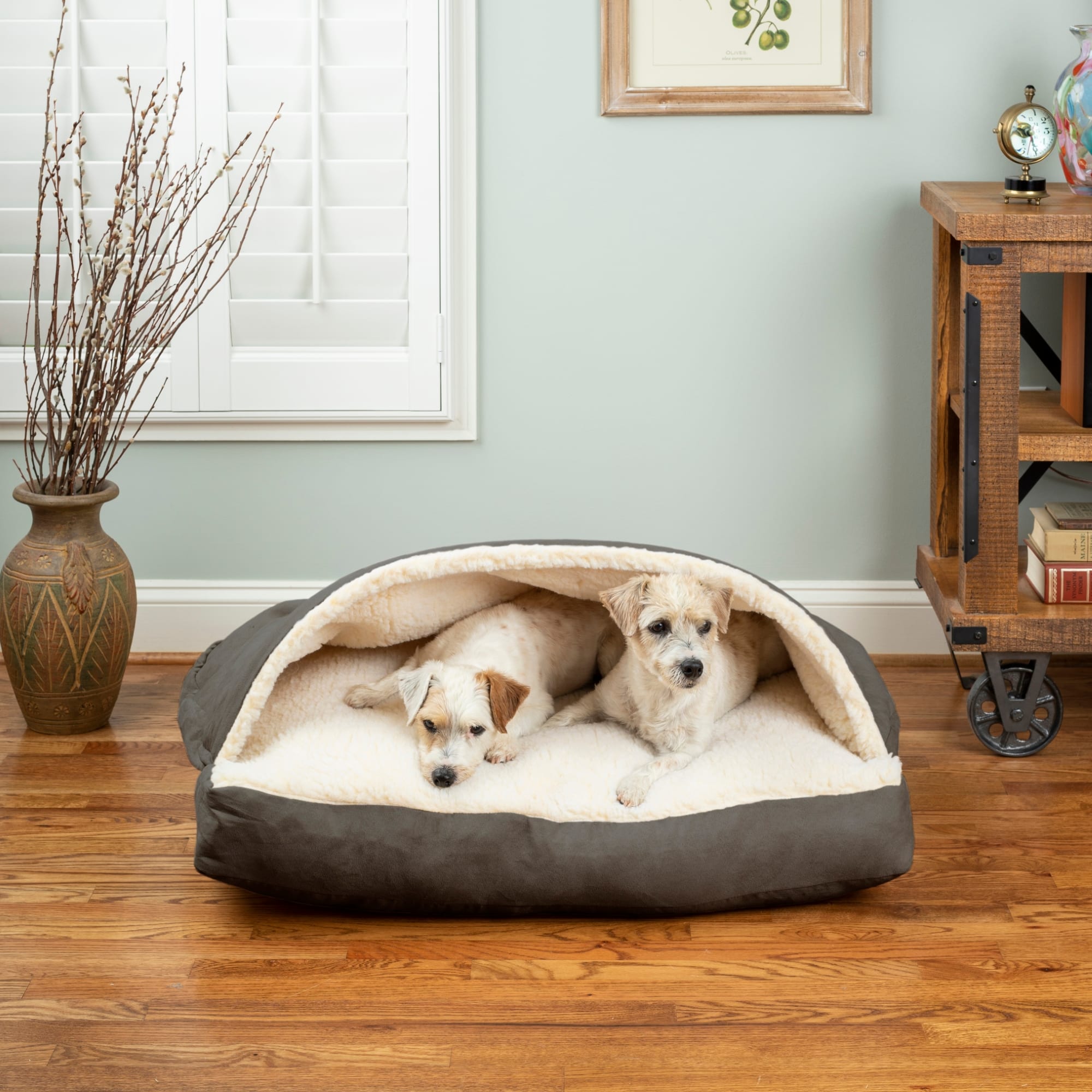 Snoozer Rectangle Luxury Micro Suede Cozy Cave for Dogs， 30