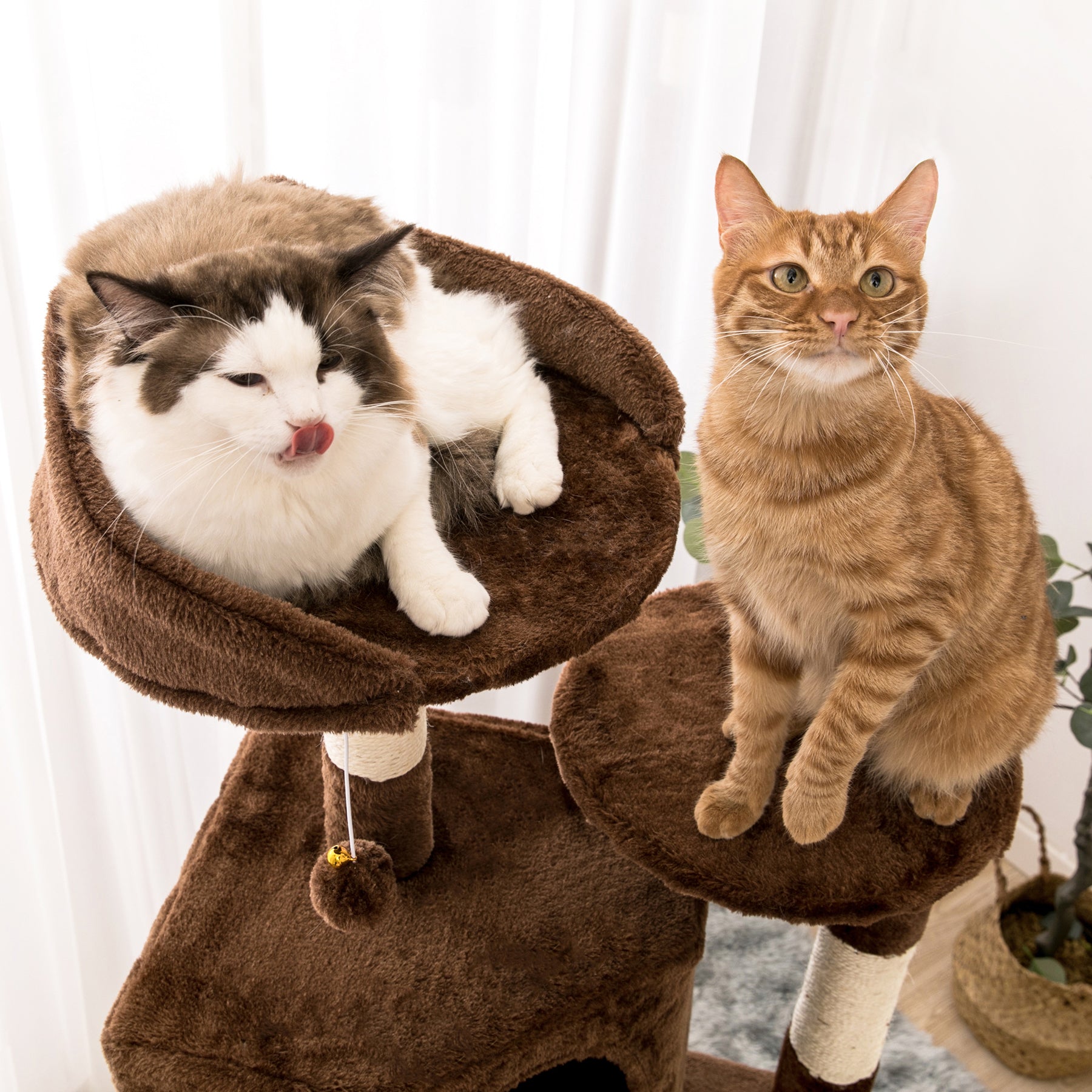 Quuzee 51.6-in Cat Tree Tower with Double Condo,Scratching Post Hammock, Brown