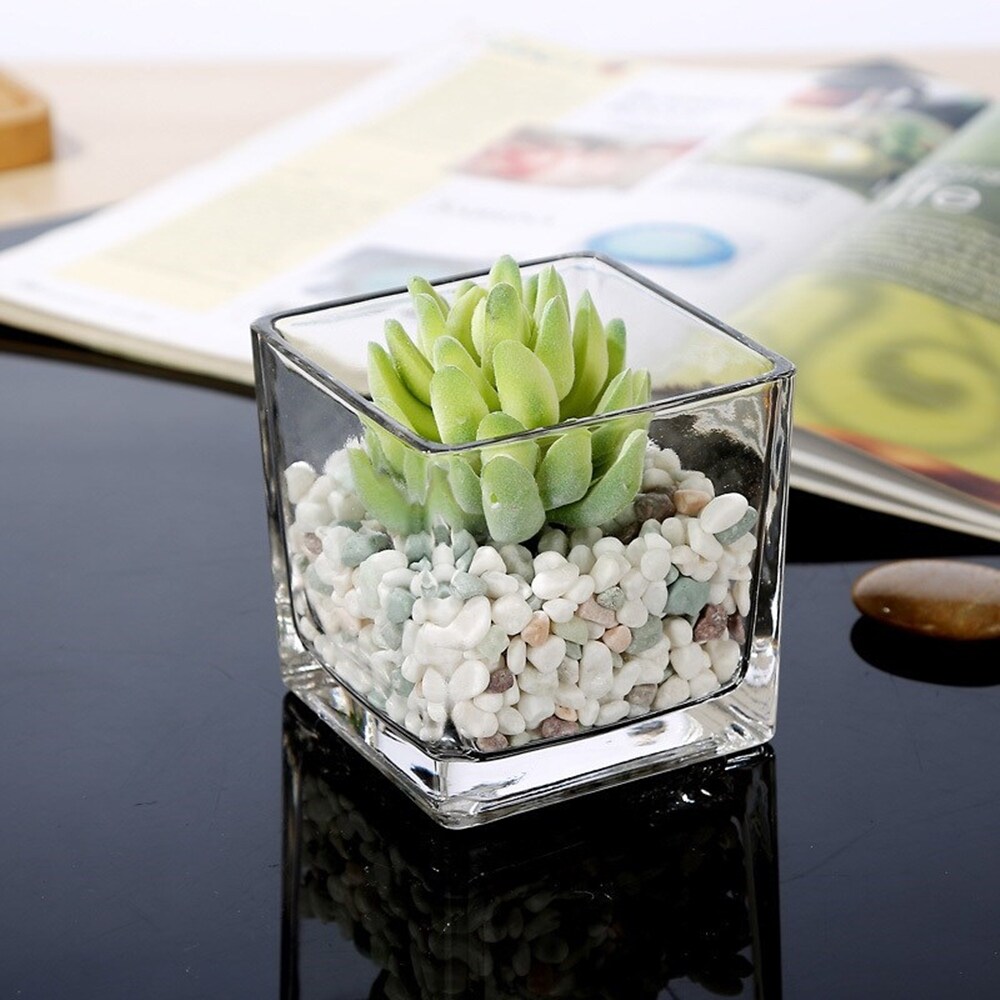 Enova Home Square Shape Clear Glass Vase For Home Garden Decoration