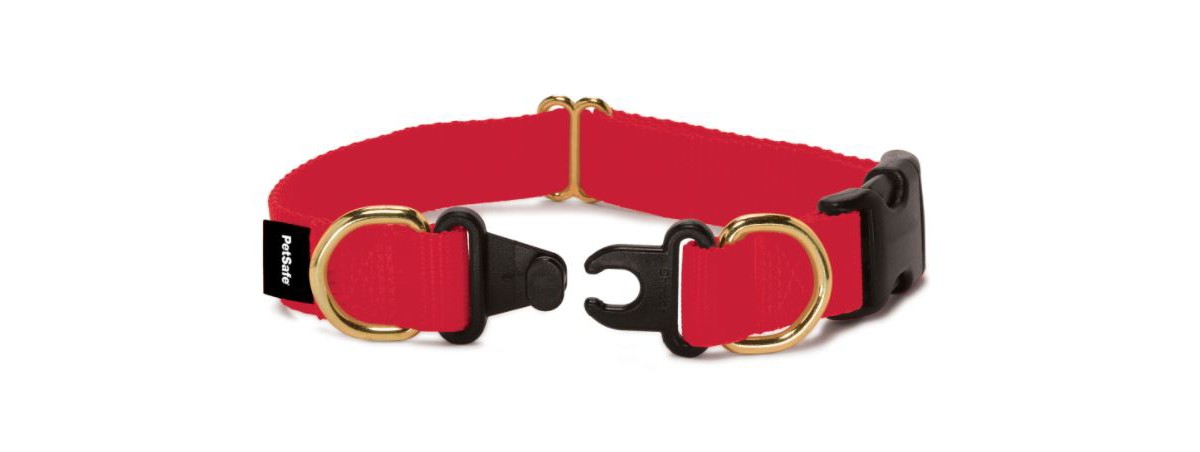 PetSafe KeepSafe Break-Away Dog Collar