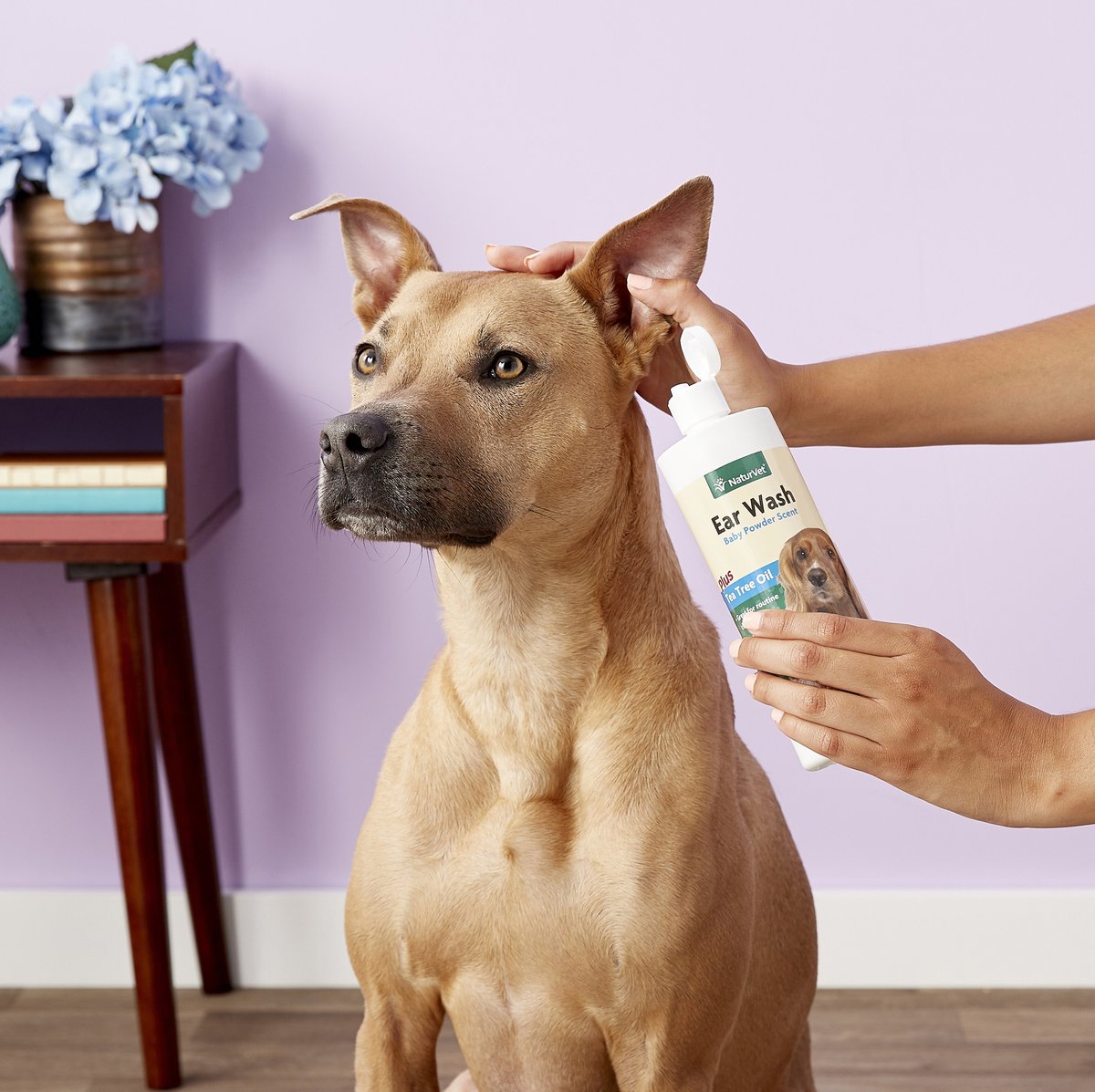 NaturVet Aloe and Baby Powder Scent Dog and Cat Ear Wash