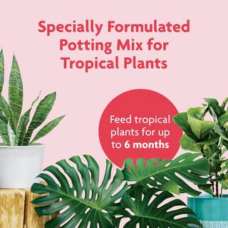 Miracle-Gro 6 Qt. Tropical Potting Mix 71276430